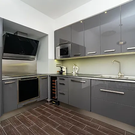 Luxurious Two-bedroom In The Old Town פראג
